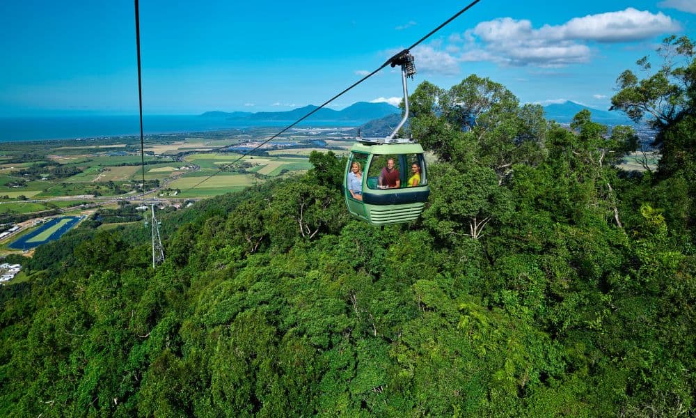 Skyrail & Scenic railway