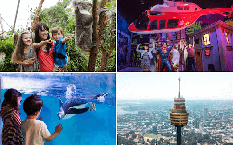 Multi attraction pass